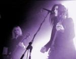devil's plaything's Photo